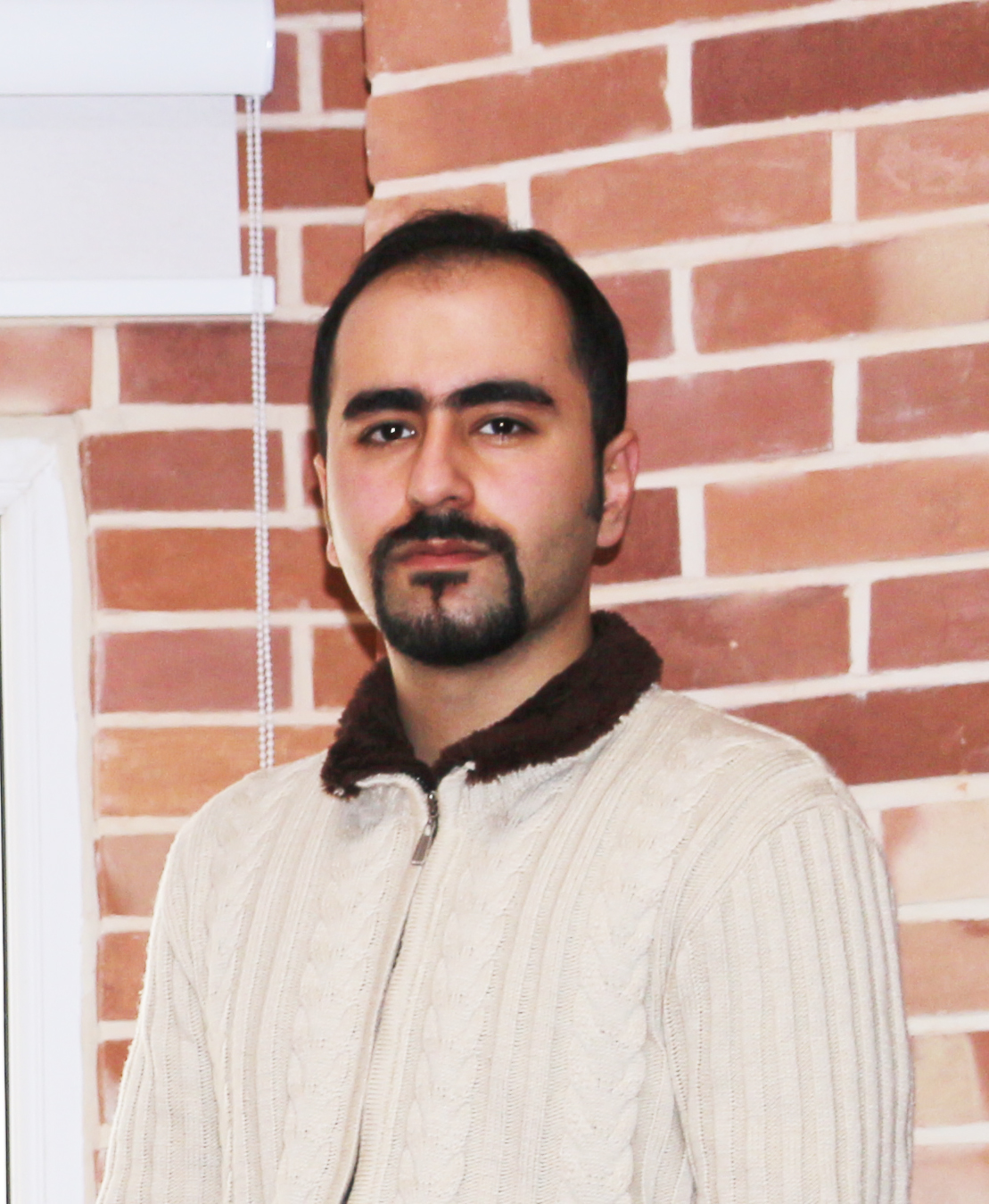 Hossein Aghahosseini Software Architect at Web Developement Company
